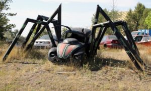 Remote Viewing Target 200616524 is the Volkswagen Bug-Spider west of Grace, Idaho