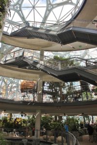 Interior of Another view of Target 649 is the Amazon Spheres in Seattle Washington