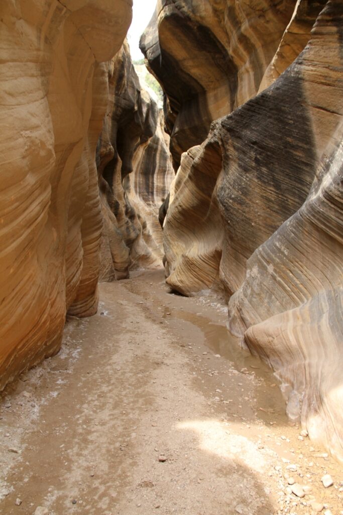 Remote Viewing Target 210518818 is the Willis Creek slot canyon in the Grand Staircase-Escalante National Monument in Utah